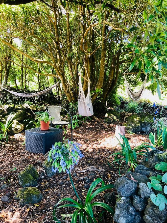 Quinta Pereirinha Farm - A Private 3 Bedroom Vacation Home, Close To Hiking W Ocean Views - Pico Island, Azores São Roque do Pico Exterior foto